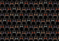 Black Cats Starlit Spooks
