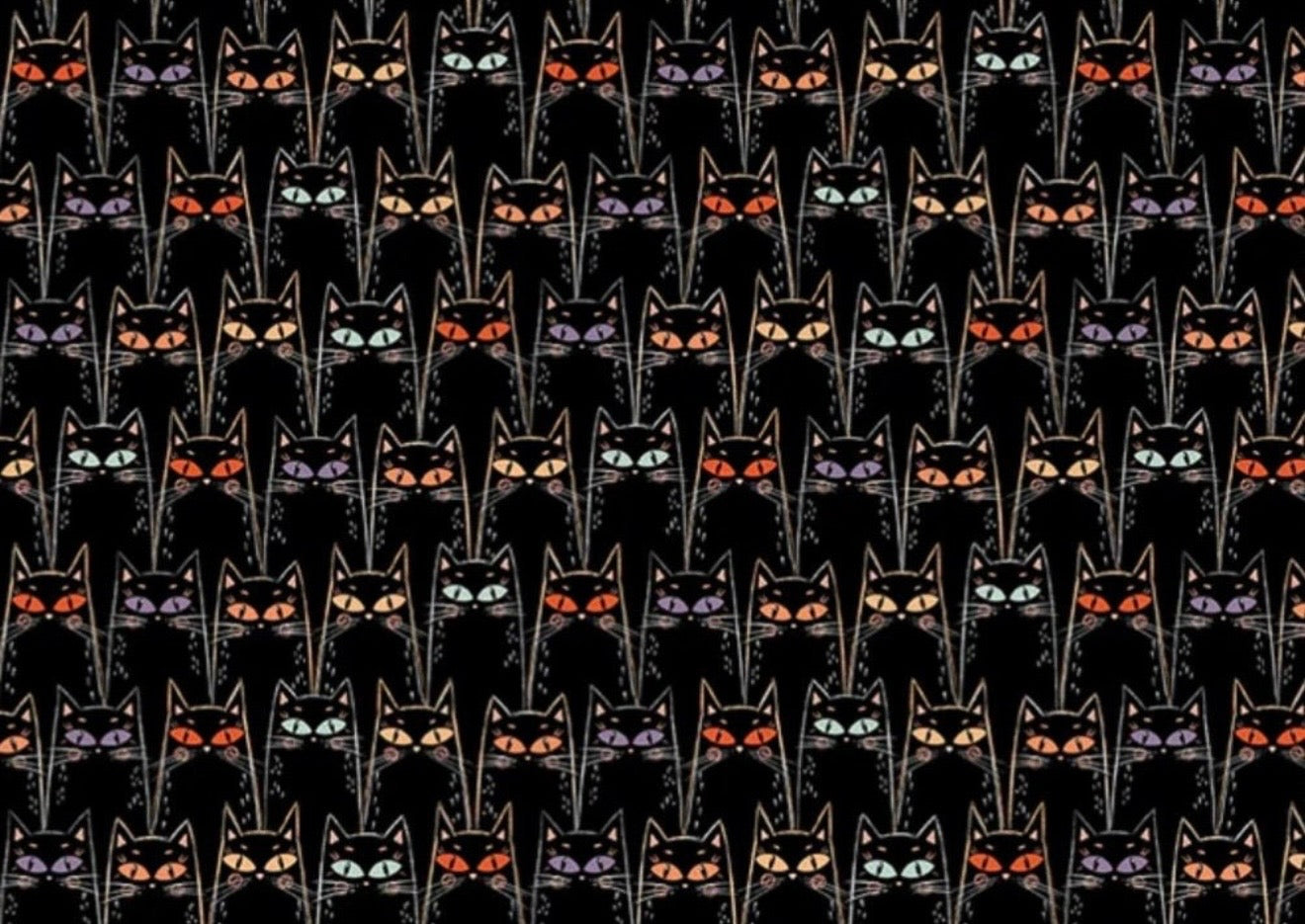 Black Cats Starlit Spooks