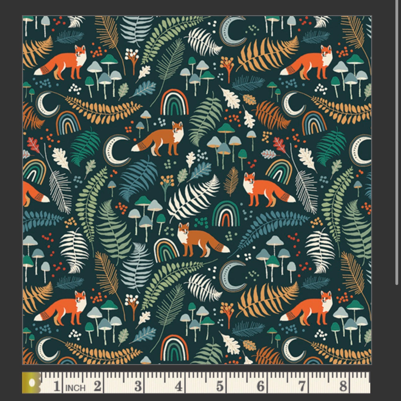 Wild Underbrush