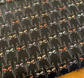 Starlight Spooks black cats
