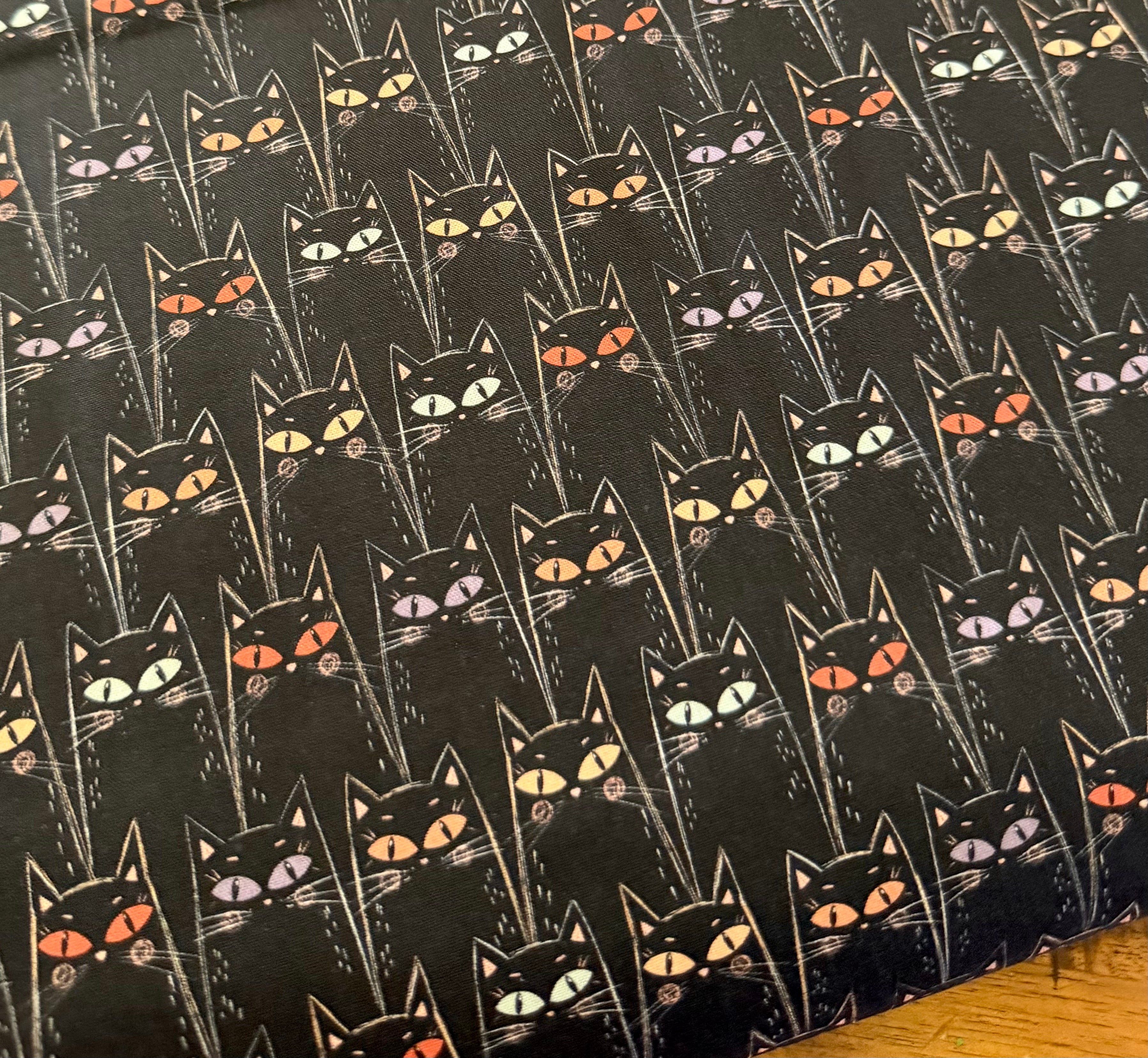 Starlight Spooks black cats