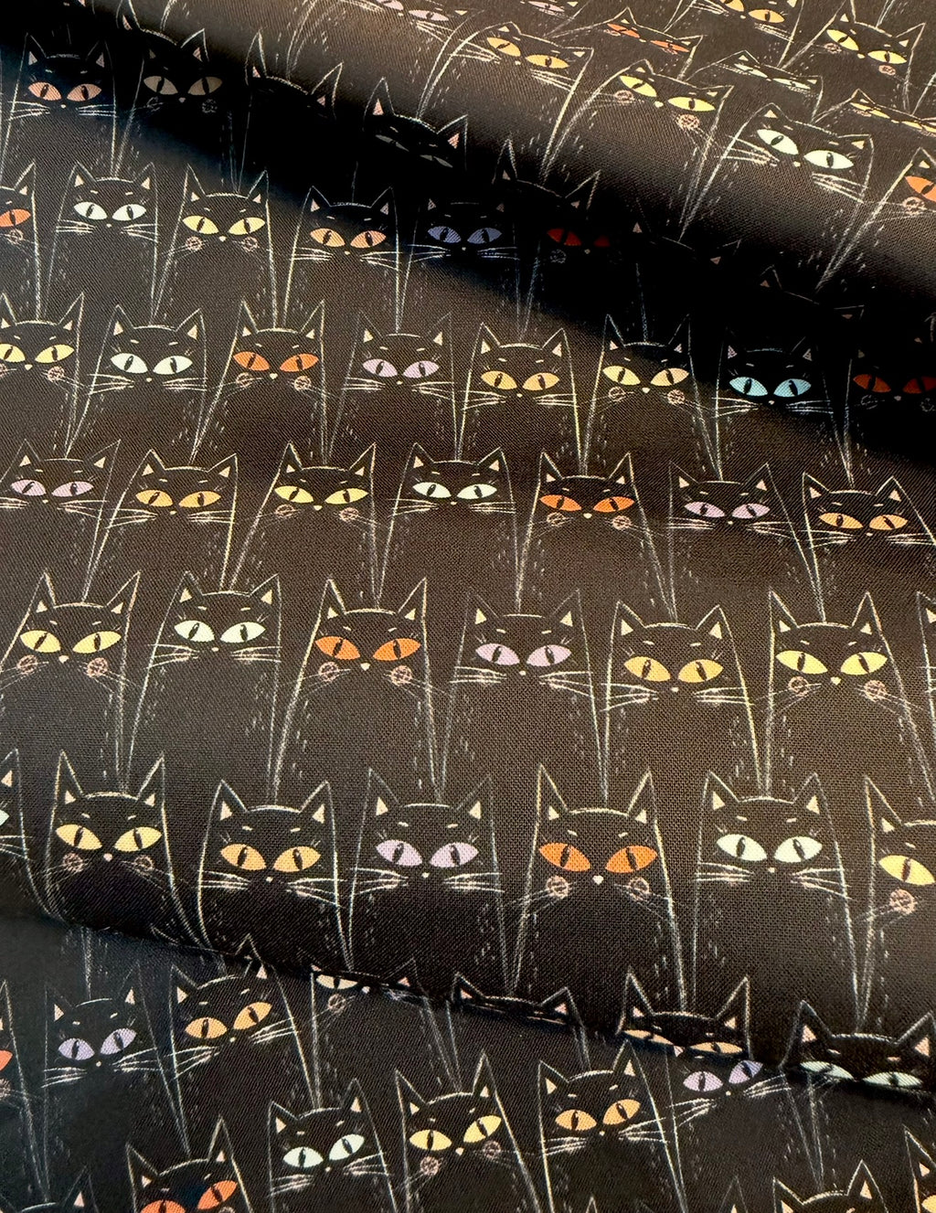 Black Cats Starlit Spooks