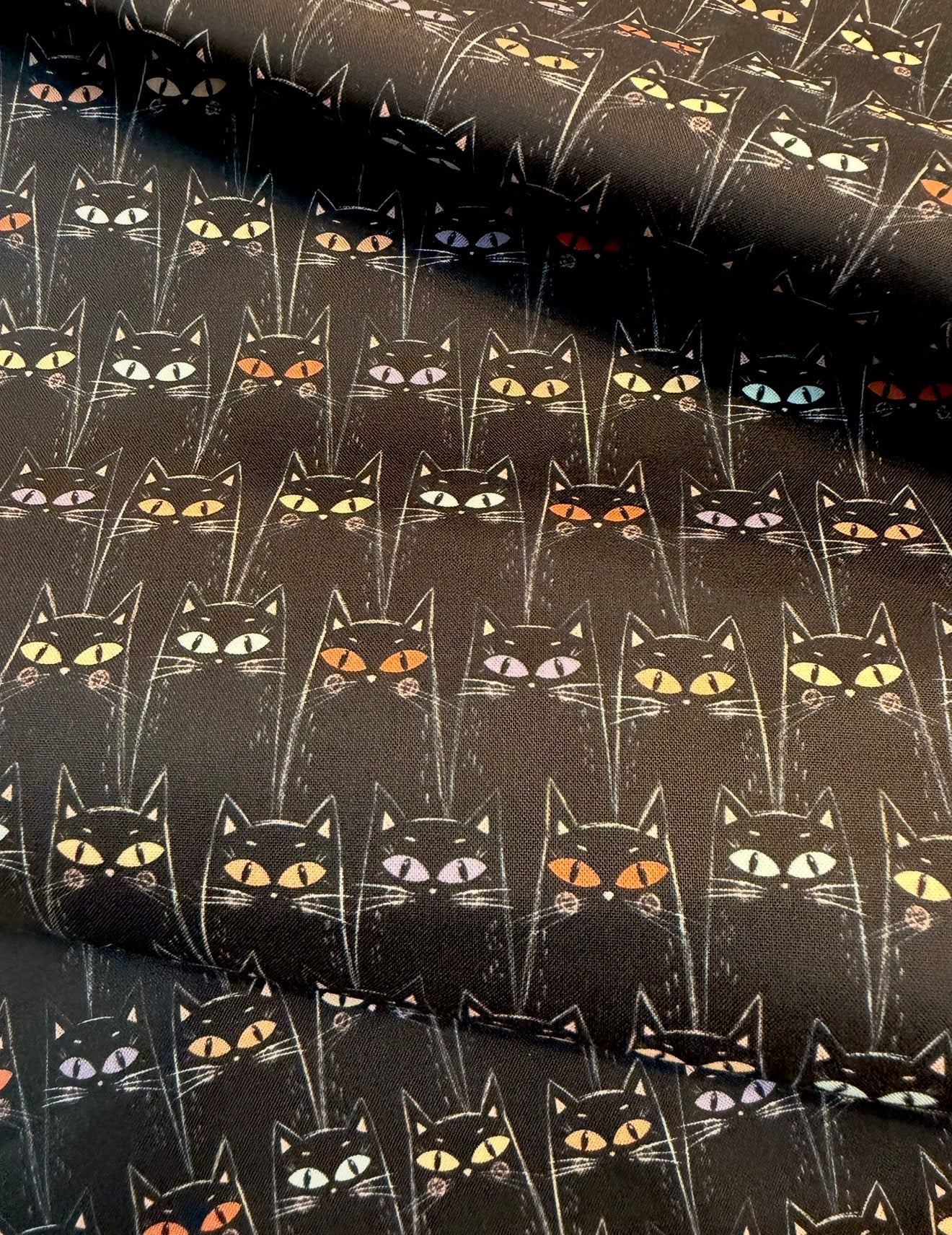 Black Cats Starlit Spooks