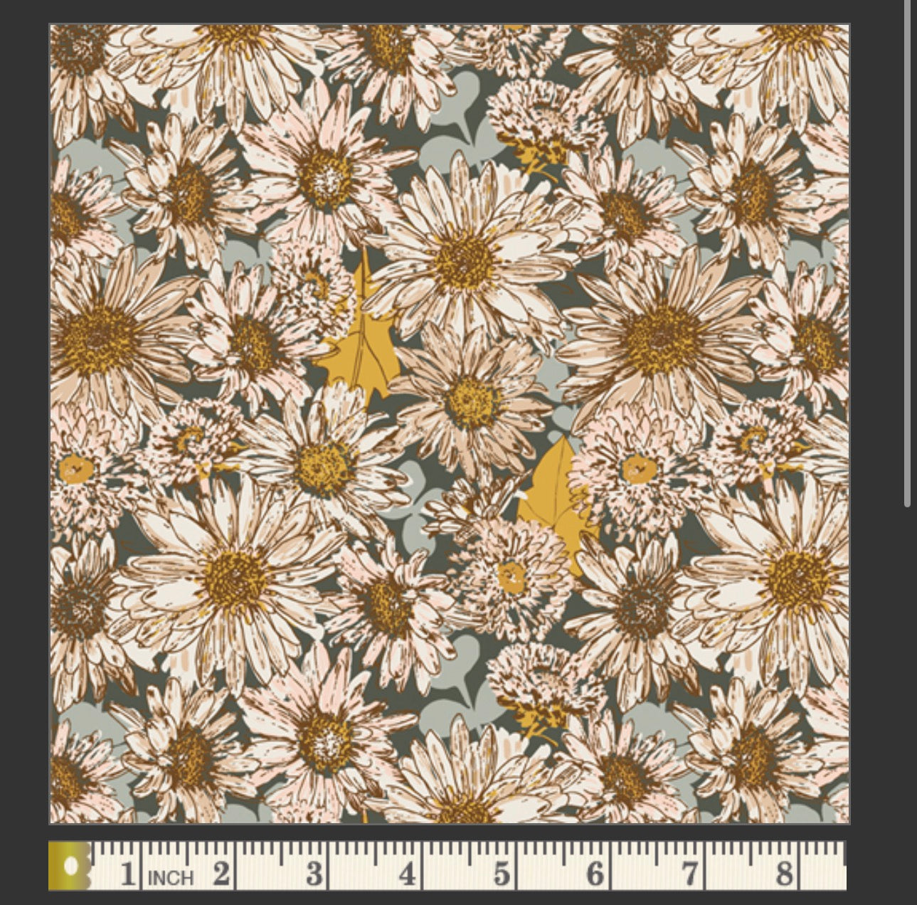 Chasing Daisies
