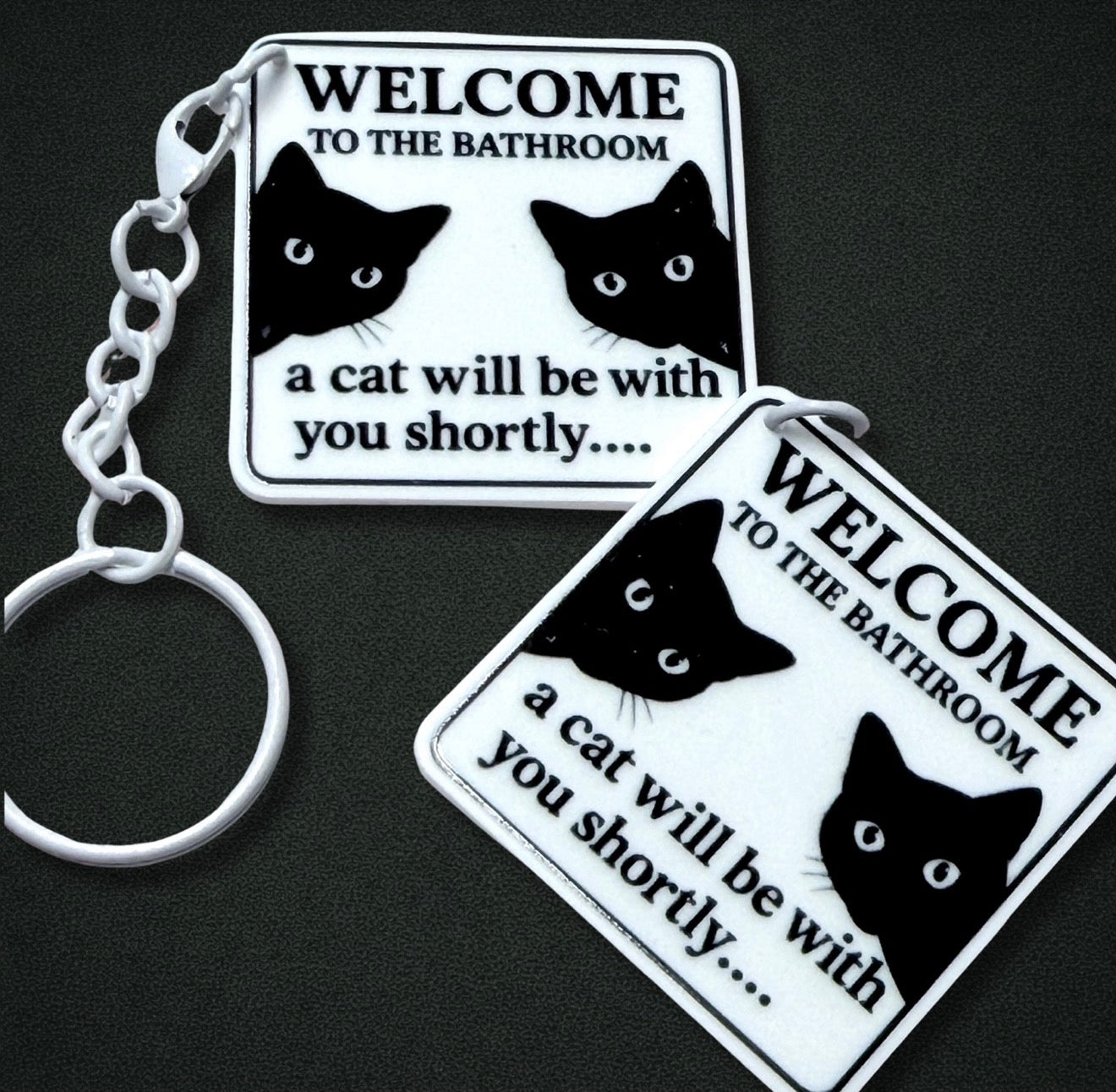 Welcome to the Bathroom Charm & Keychain