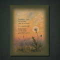 Dandelion Panel