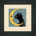 Binx & the Moon Man Panel