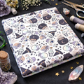 Witchy Curiosities