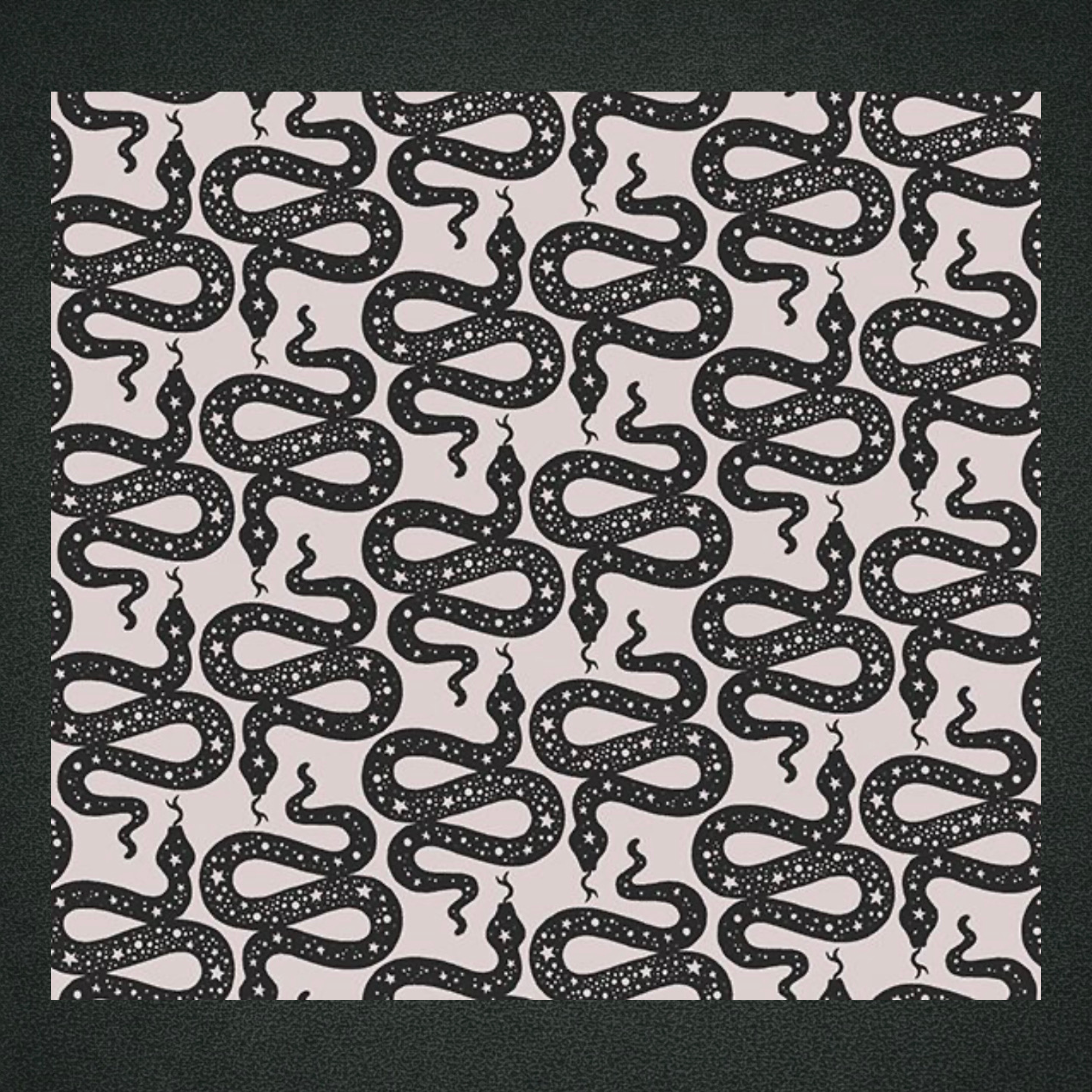 Snakes